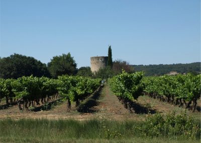 Garrigues-Sainte-Eulalie