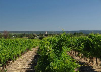 Garrigues-Sainte-Eulalie