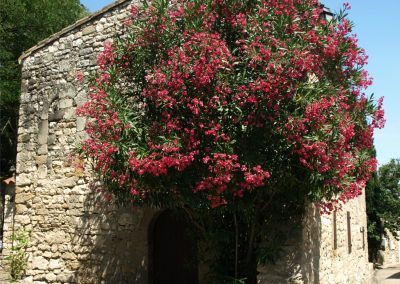 Garrigues-Sainte-Eulalie